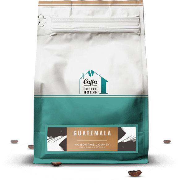 Inicio Product 005 Free Img 1